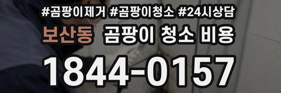 보산동 곰팡이 청소 비용