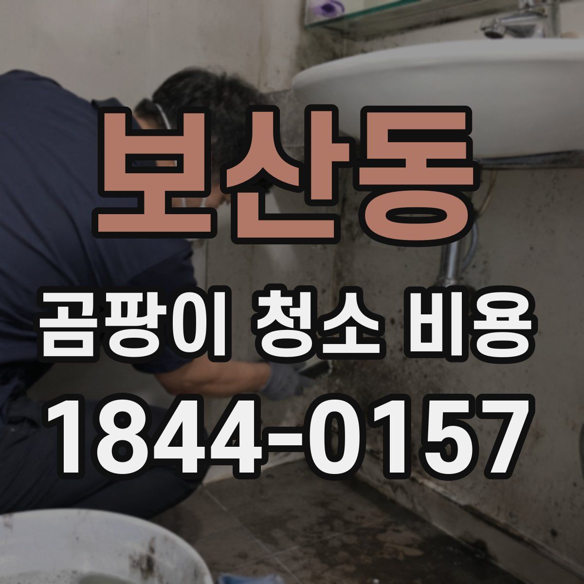 보산동 곰팡이 청소 비용