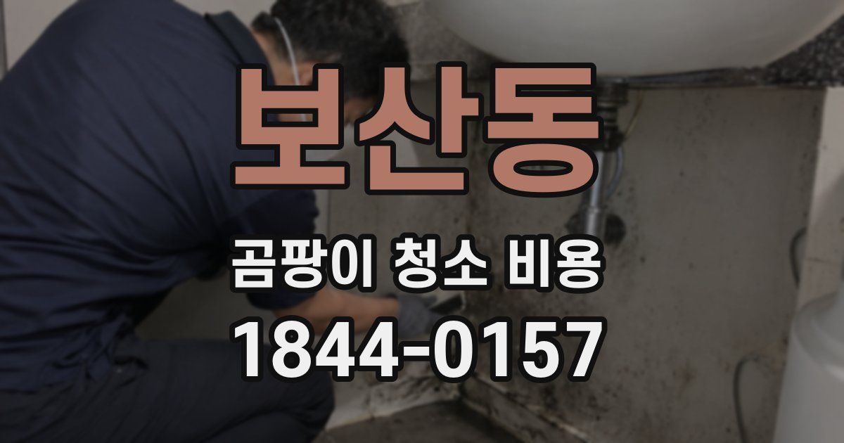 보산동 곰팡이 청소 비용