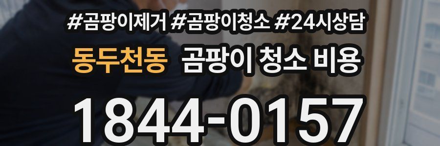 동두천동 곰팡이 청소 비용