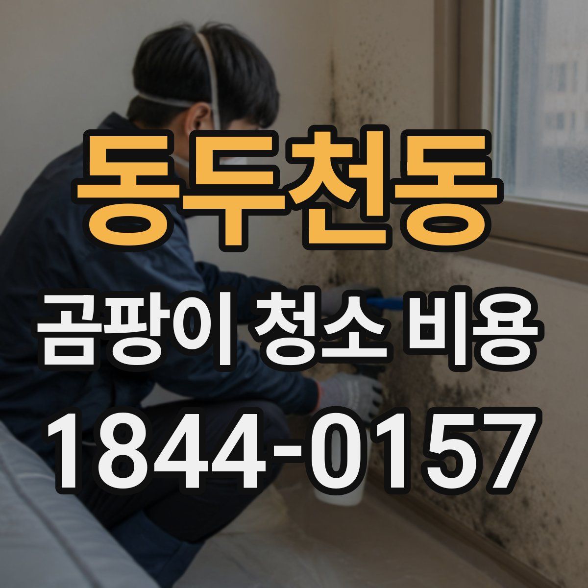 동두천동 곰팡이 청소 비용