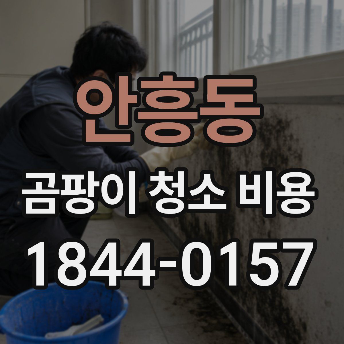 안흥동 곰팡이 청소 비용