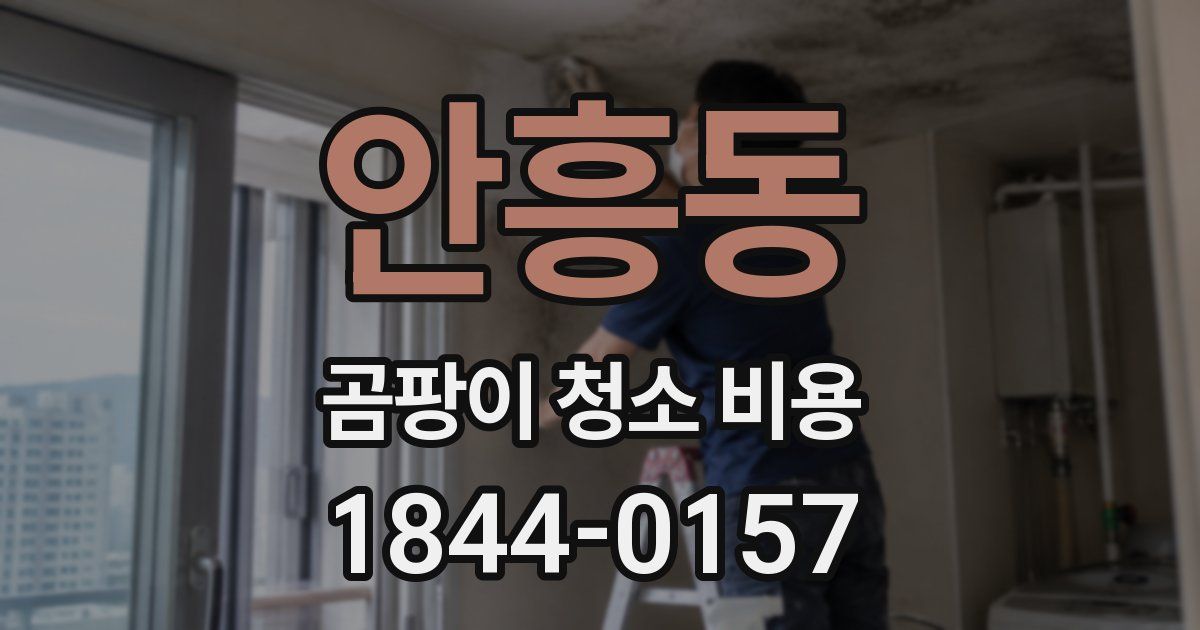 안흥동 곰팡이 청소 비용