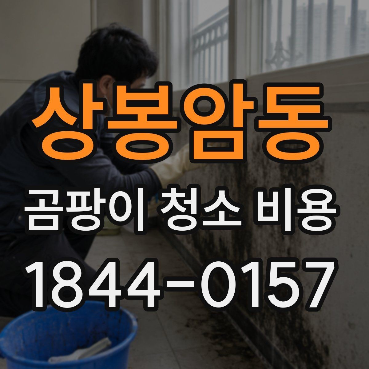 상봉암동 곰팡이 청소 비용 약품 잔류와 냄새 확인이 중요한 이유