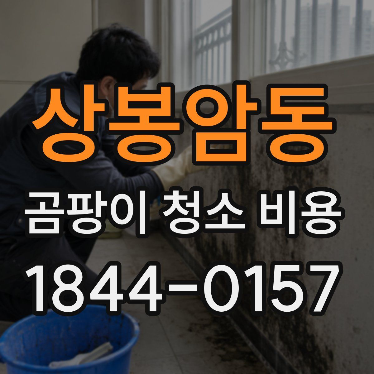 상봉암동 곰팡이 청소 비용
