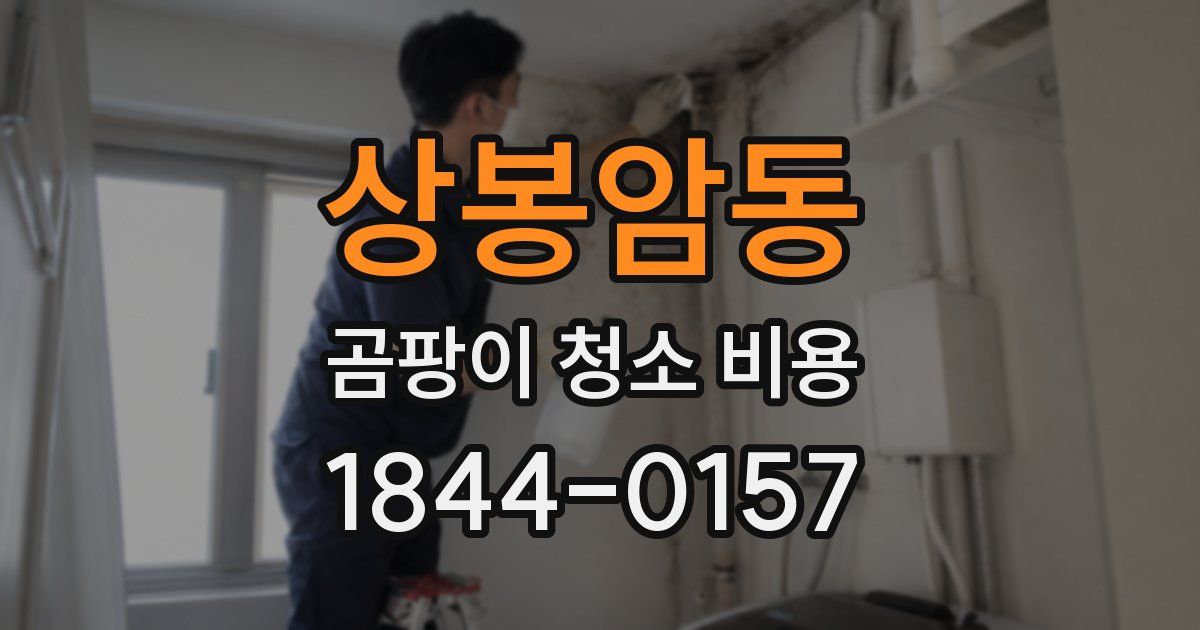 상봉암동 곰팡이 청소 비용