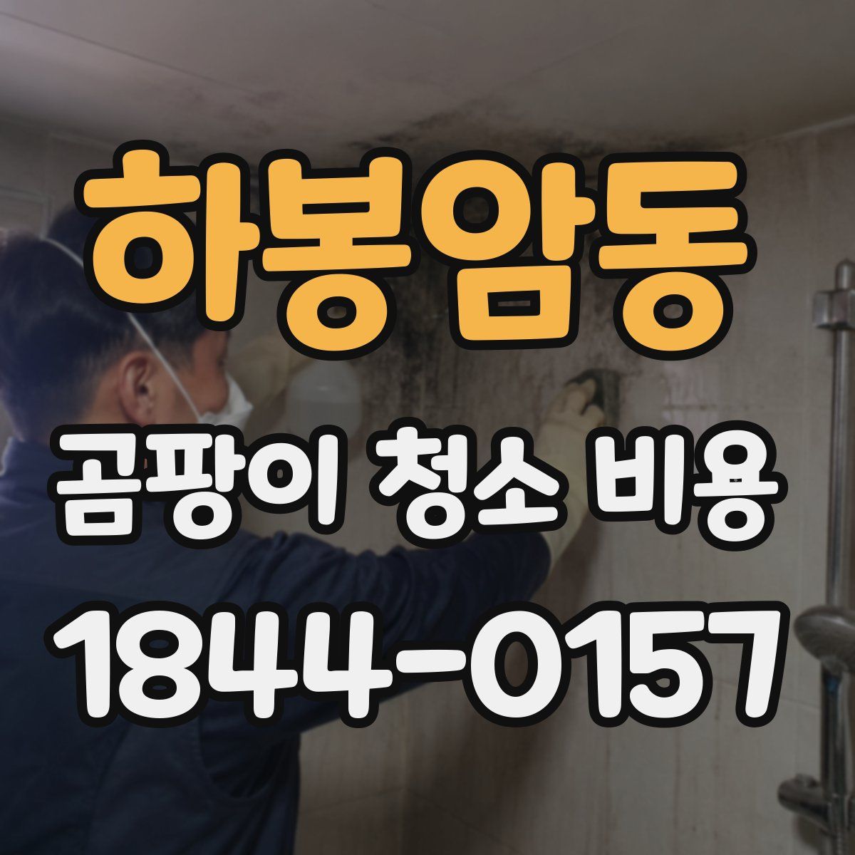 하봉암동 곰팡이 청소 비용