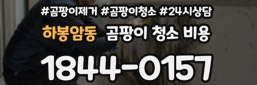 하봉암동 곰팡이 청소 비용