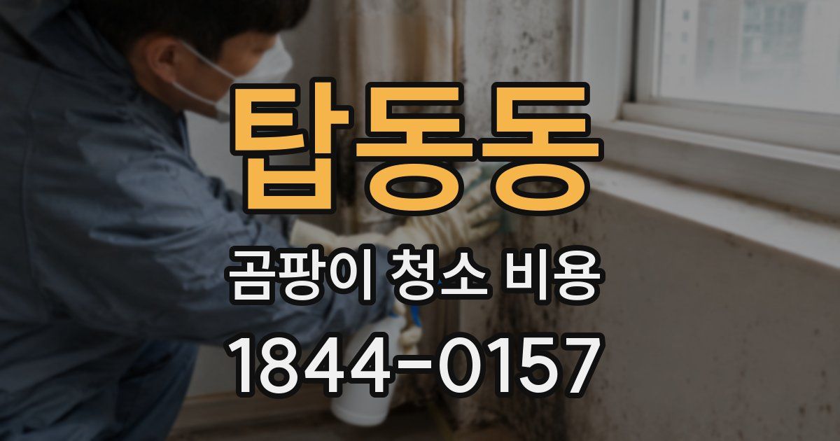 탑동동 곰팡이 청소 비용