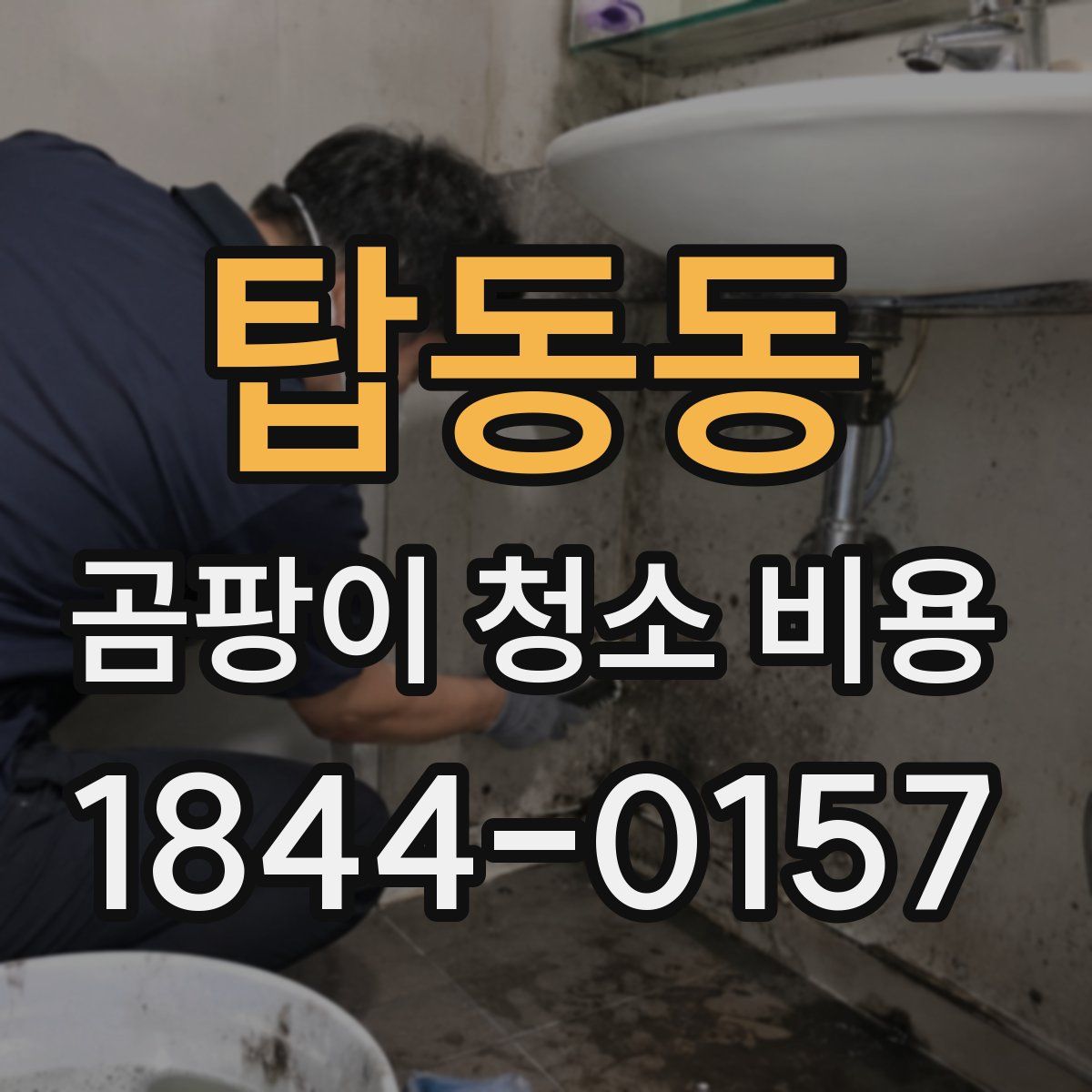 탑동동 곰팡이 청소 비용