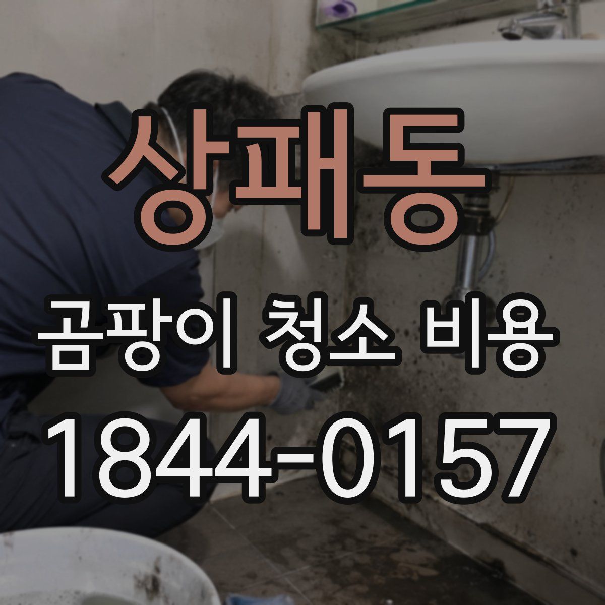 상패동 곰팡이 청소 비용