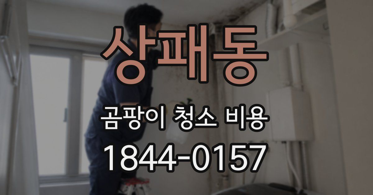 상패동 곰팡이 청소 비용