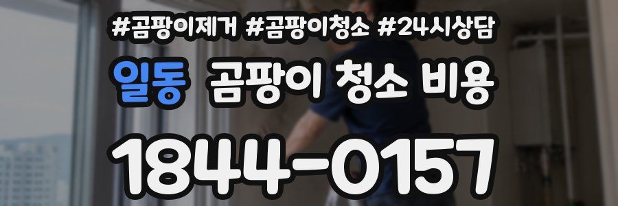일동 곰팡이 청소 비용