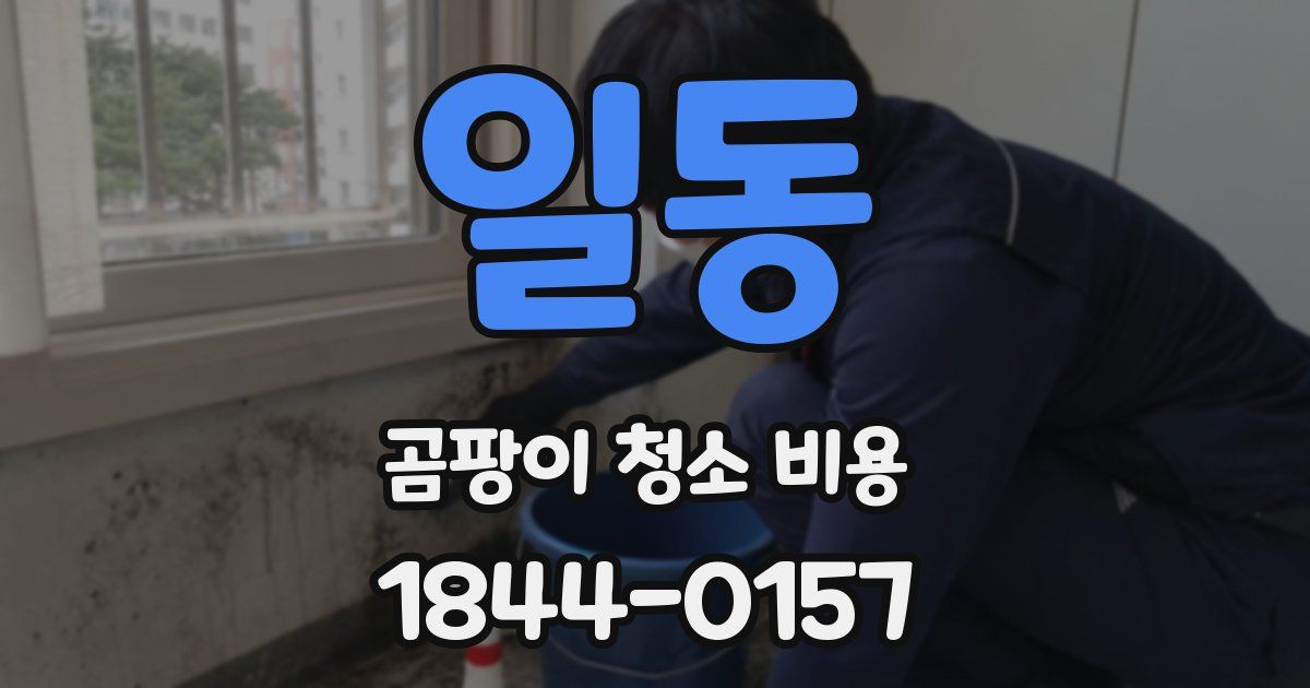 일동 곰팡이 청소 비용