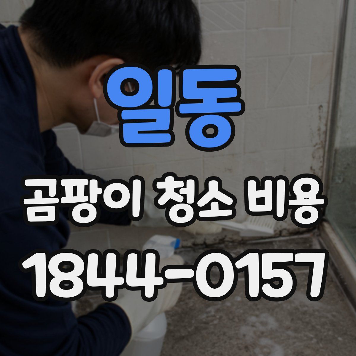 일동 곰팡이 청소 비용