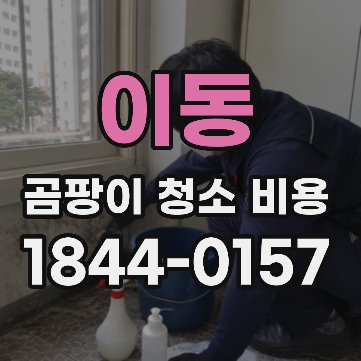 이동 곰팡이 청소 비용