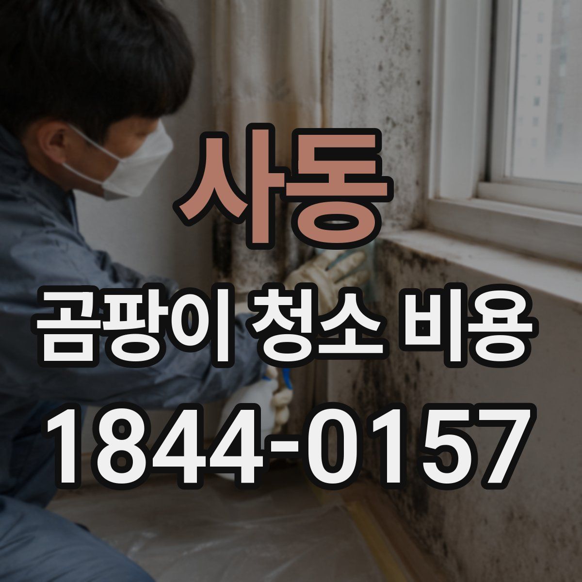 사동 곰팡이 청소 비용