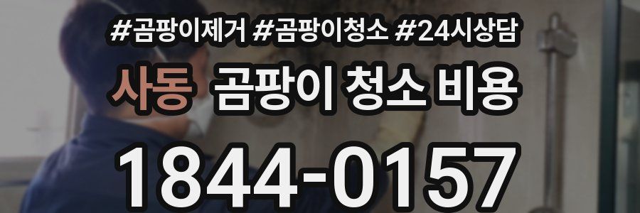 사동 곰팡이 청소 비용