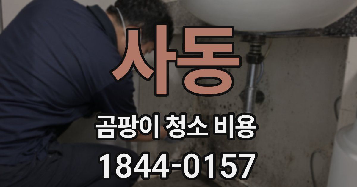 사동 곰팡이 청소 비용