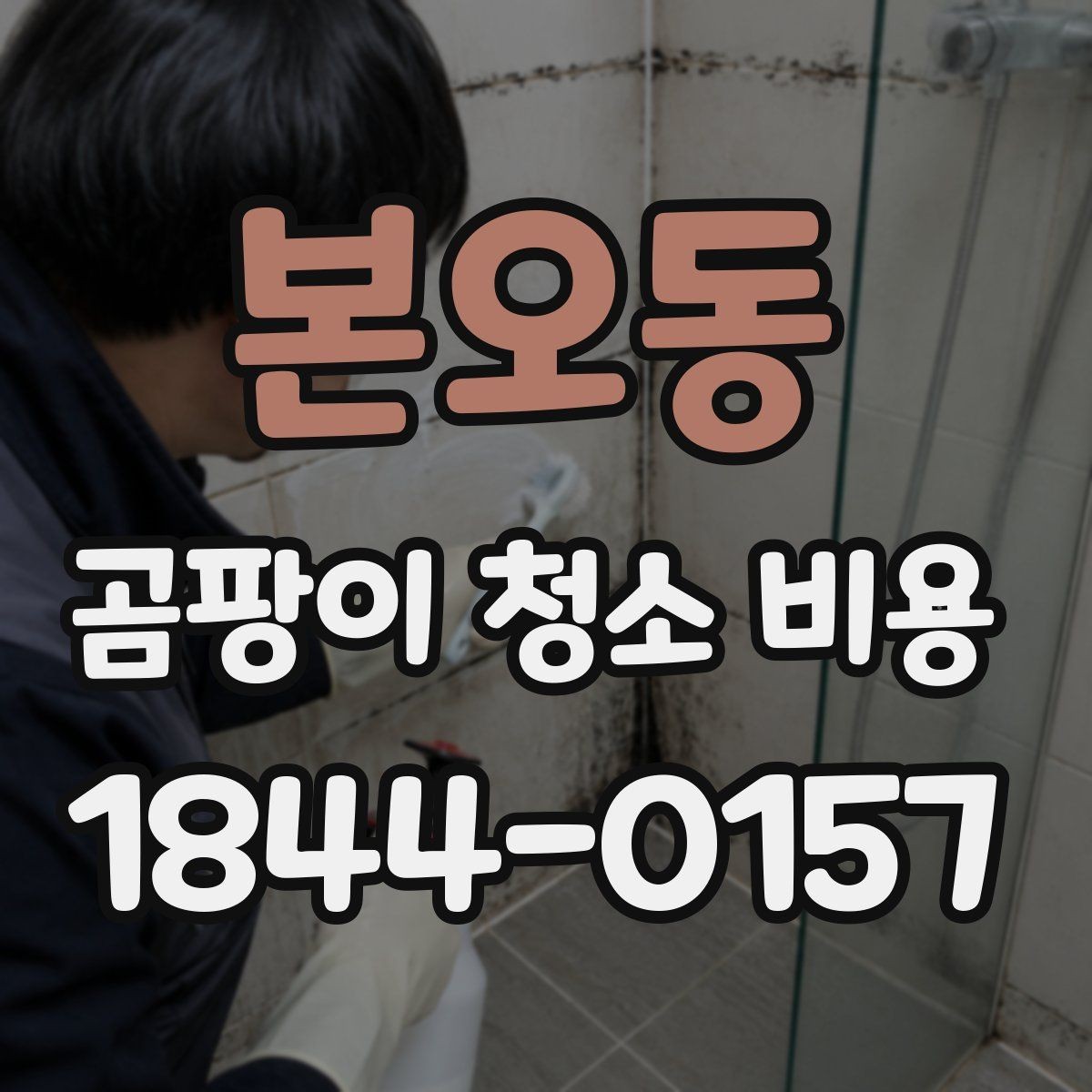본오동 곰팡이 청소 비용 벽지 손상 여부에 따라 달라지는 견적 요소