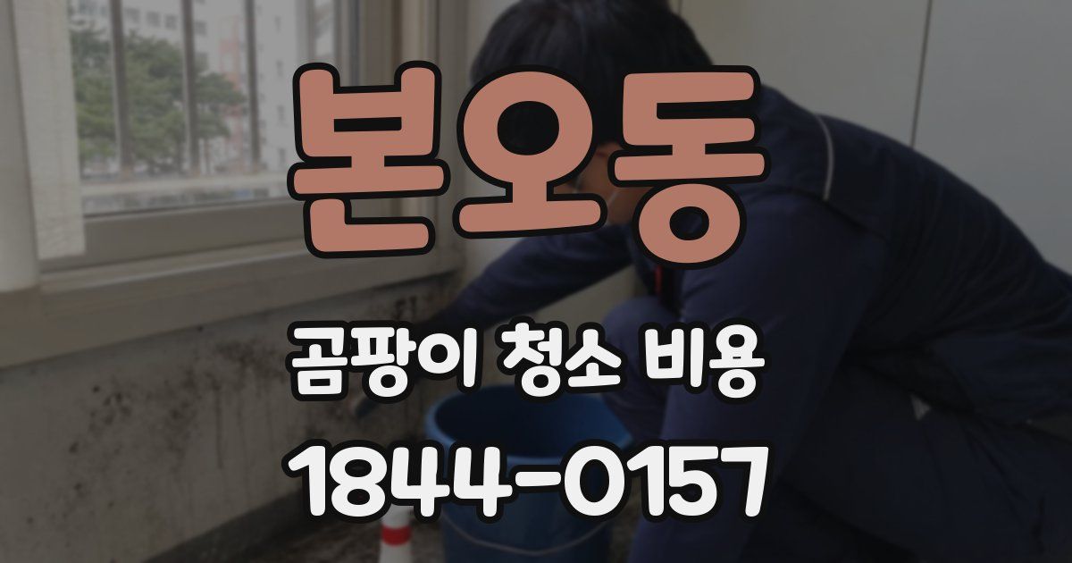본오동 곰팡이 청소 비용