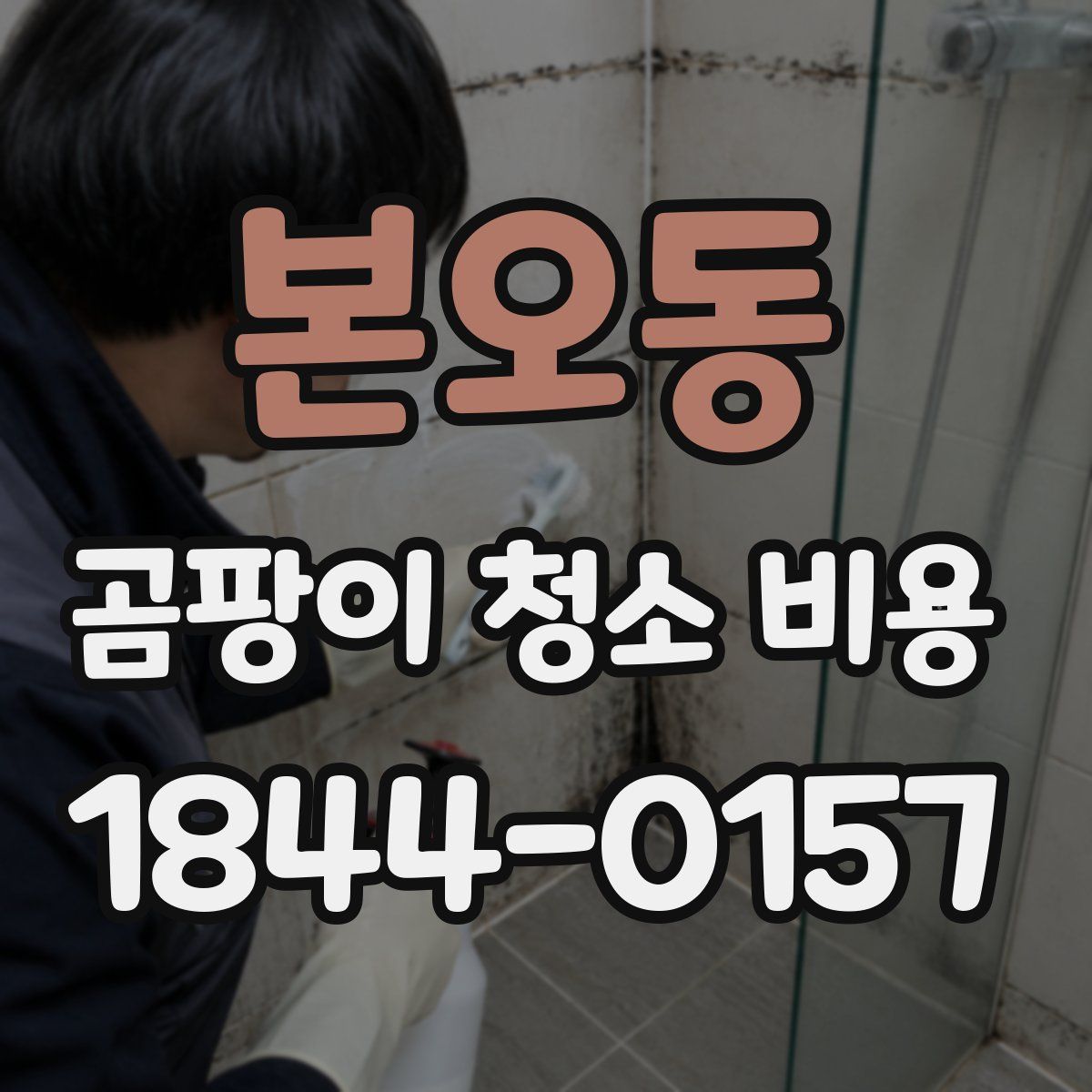 본오동 곰팡이 청소 비용