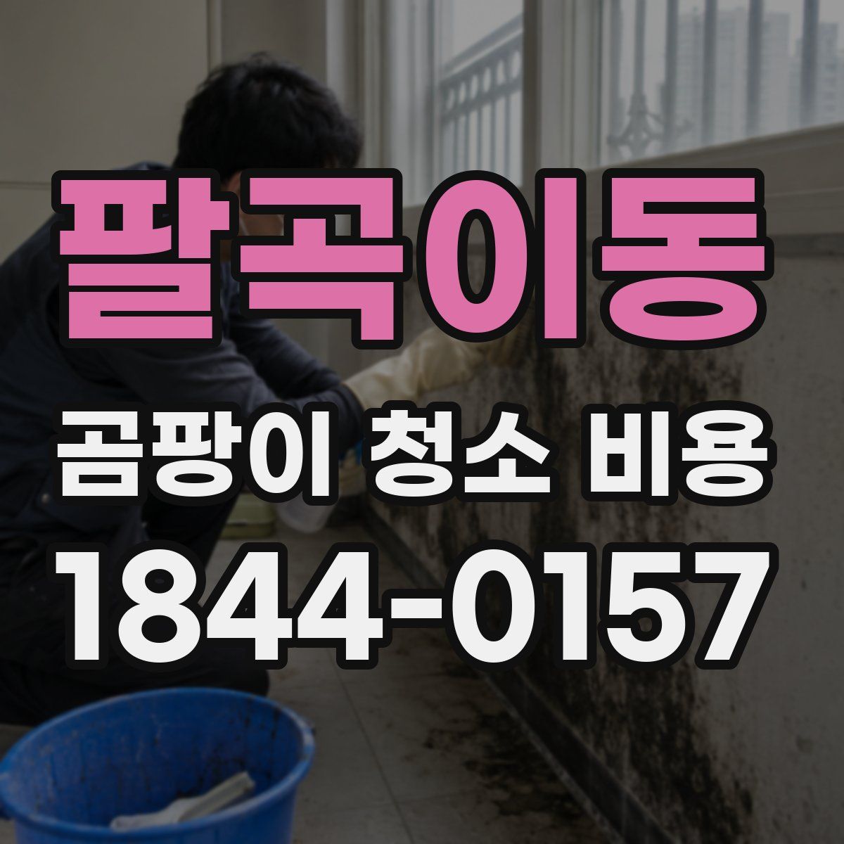 팔곡이동 곰팡이 청소 비용