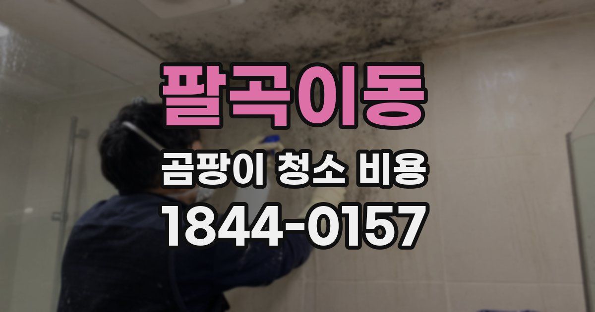팔곡이동 곰팡이 청소 비용