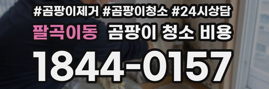 팔곡이동 곰팡이 청소 비용