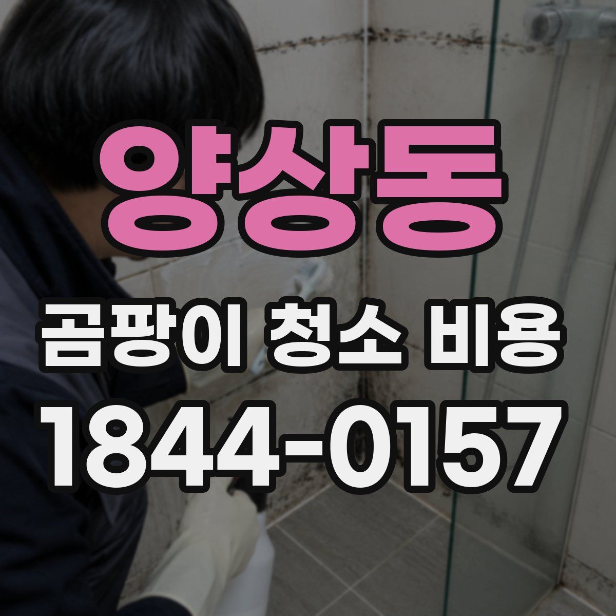 양상동 곰팡이 청소 비용