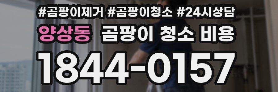 양상동 곰팡이 청소 비용