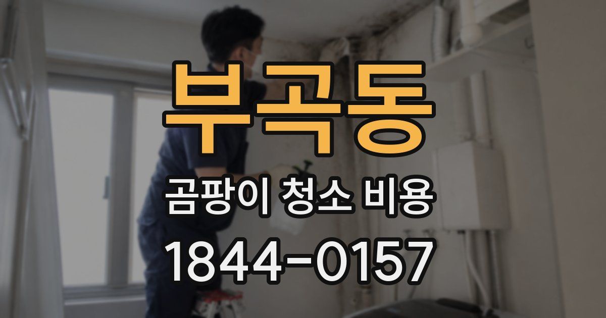 부곡동 곰팡이 청소 비용