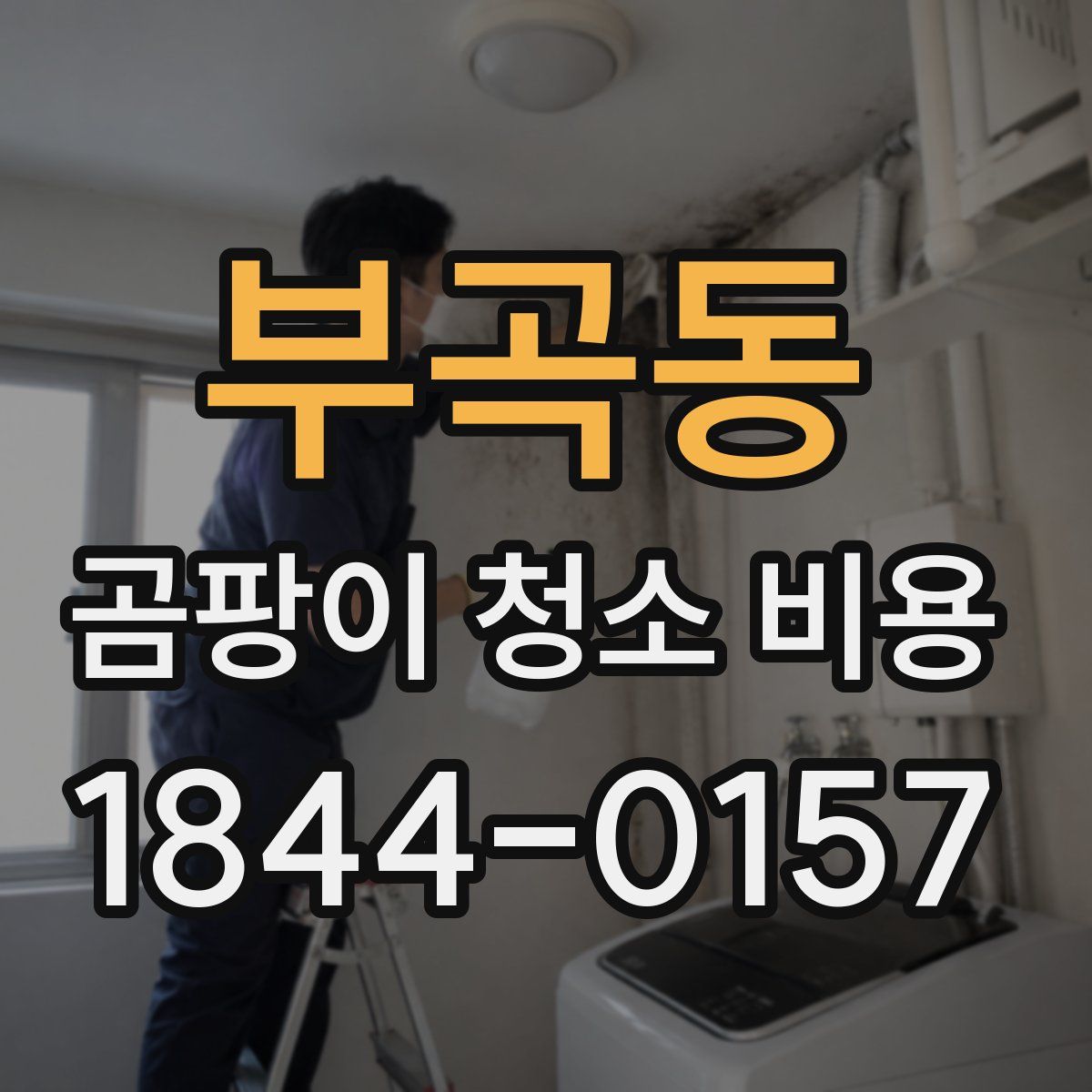 부곡동 곰팡이 청소 비용