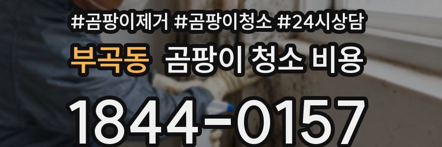 부곡동 곰팡이 청소 비용