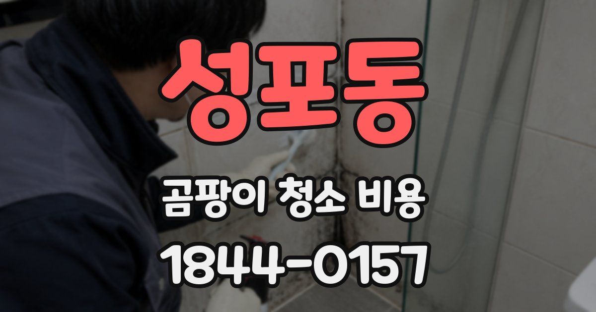 성포동 곰팡이 청소 비용