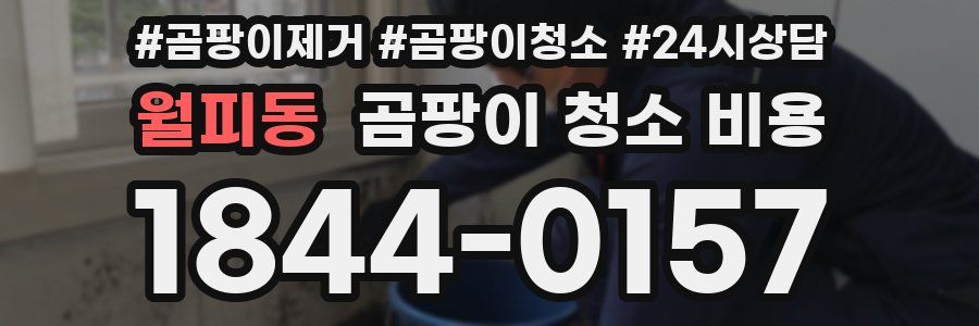 월피동 곰팡이 청소 비용