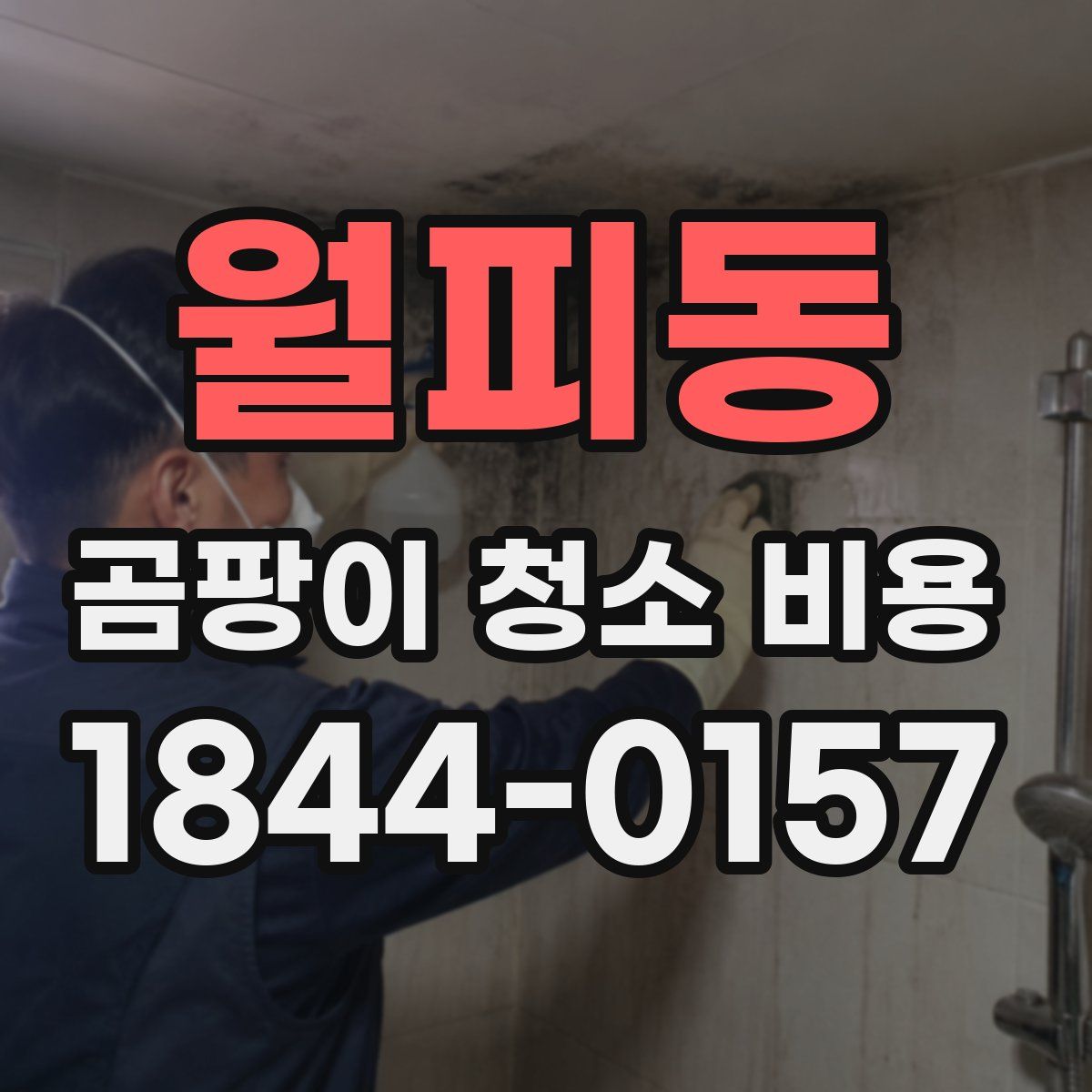 월피동 곰팡이 청소 비용