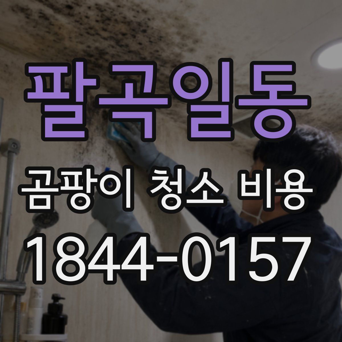 팔곡일동 곰팡이 청소 비용