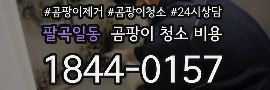 팔곡일동 곰팡이 청소 비용