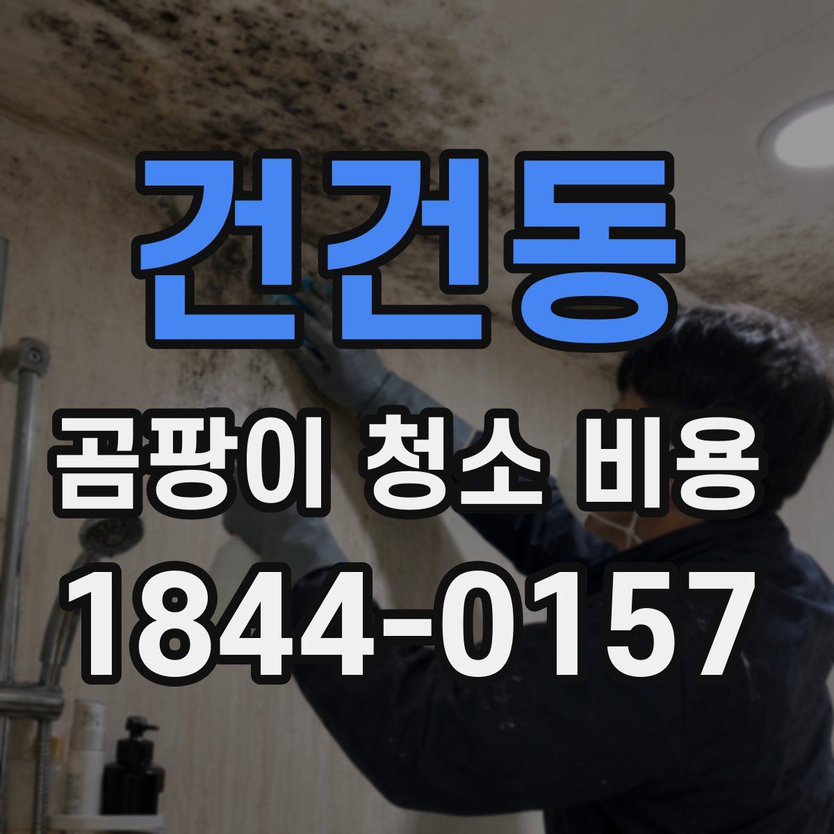 건건동 곰팡이 청소 비용