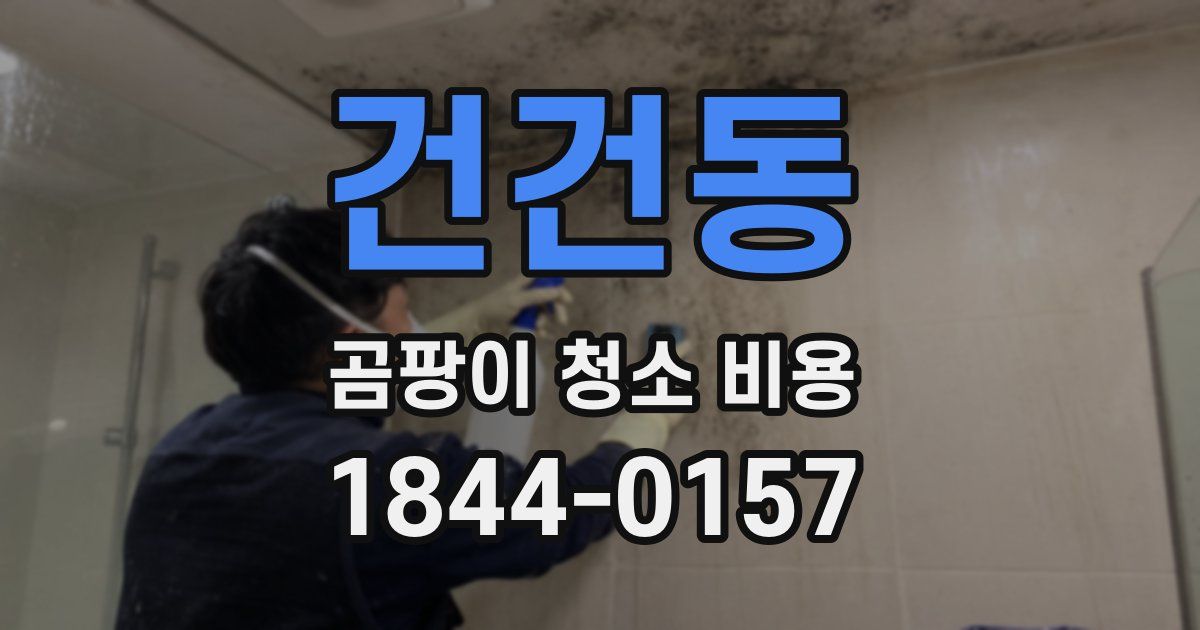 건건동 곰팡이 청소 비용
