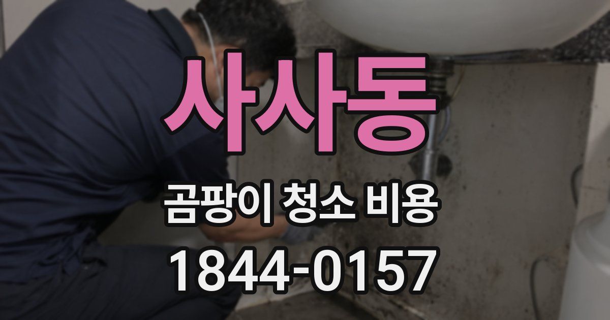 사사동 곰팡이 청소 비용