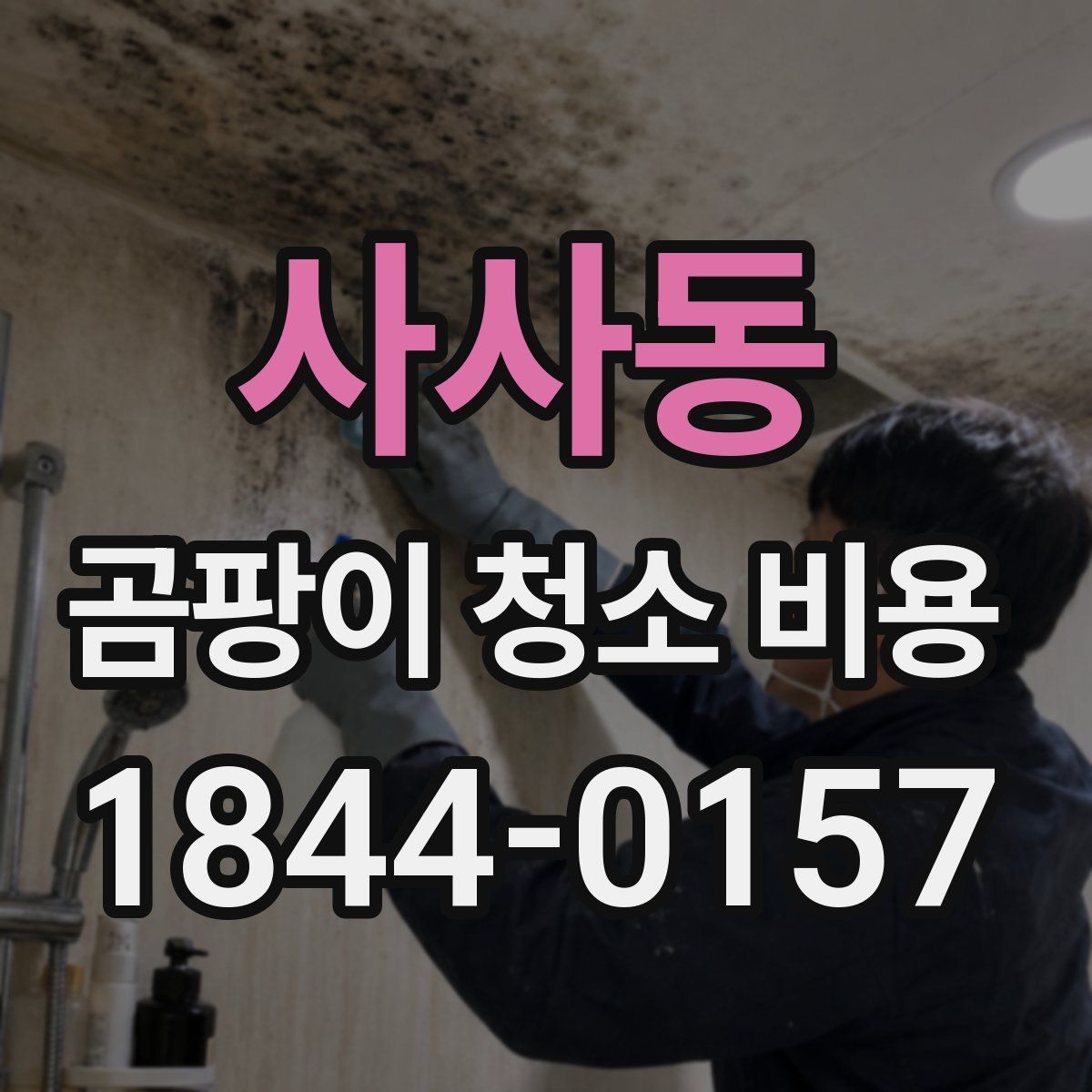사사동 곰팡이 청소 비용