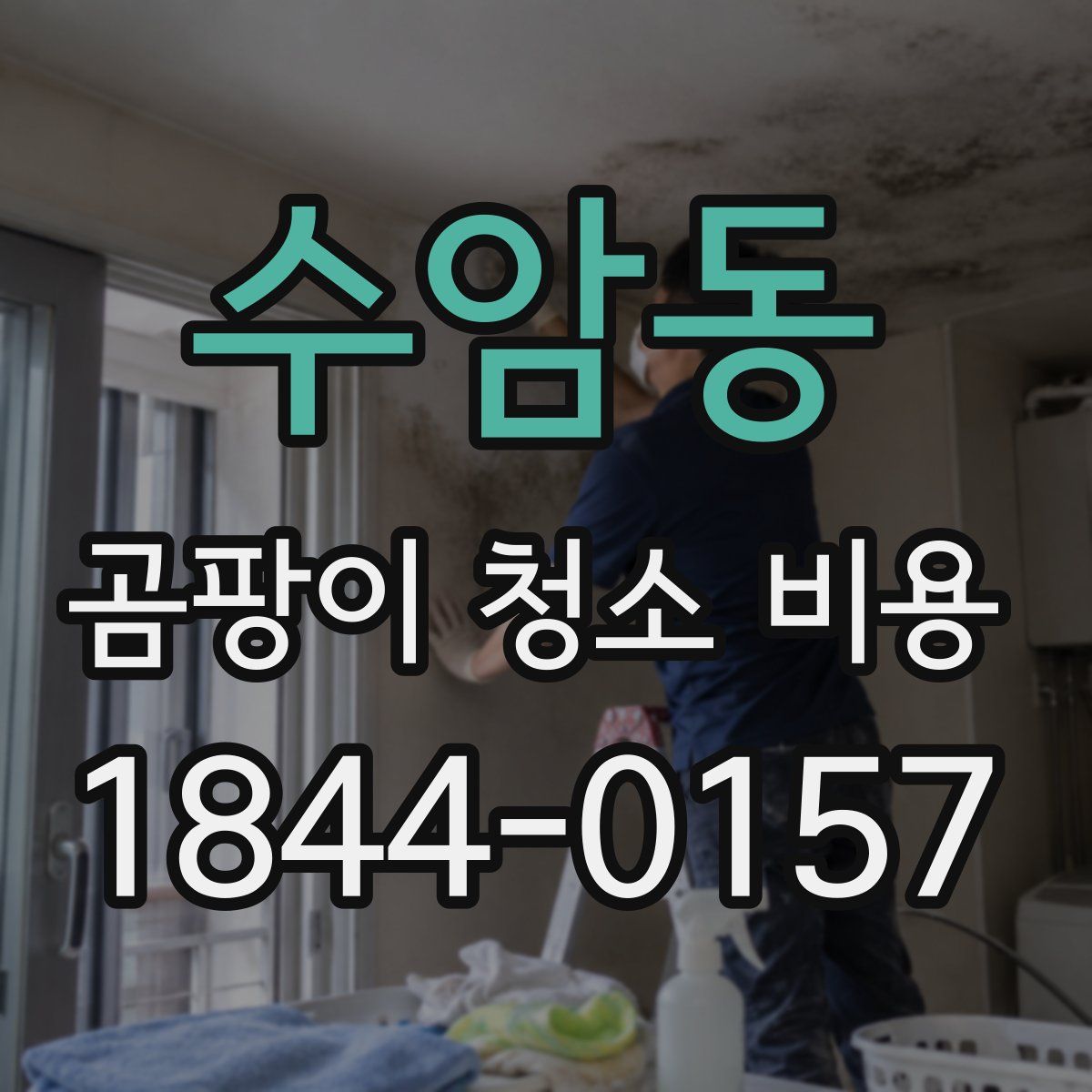 수암동 곰팡이 청소 비용
