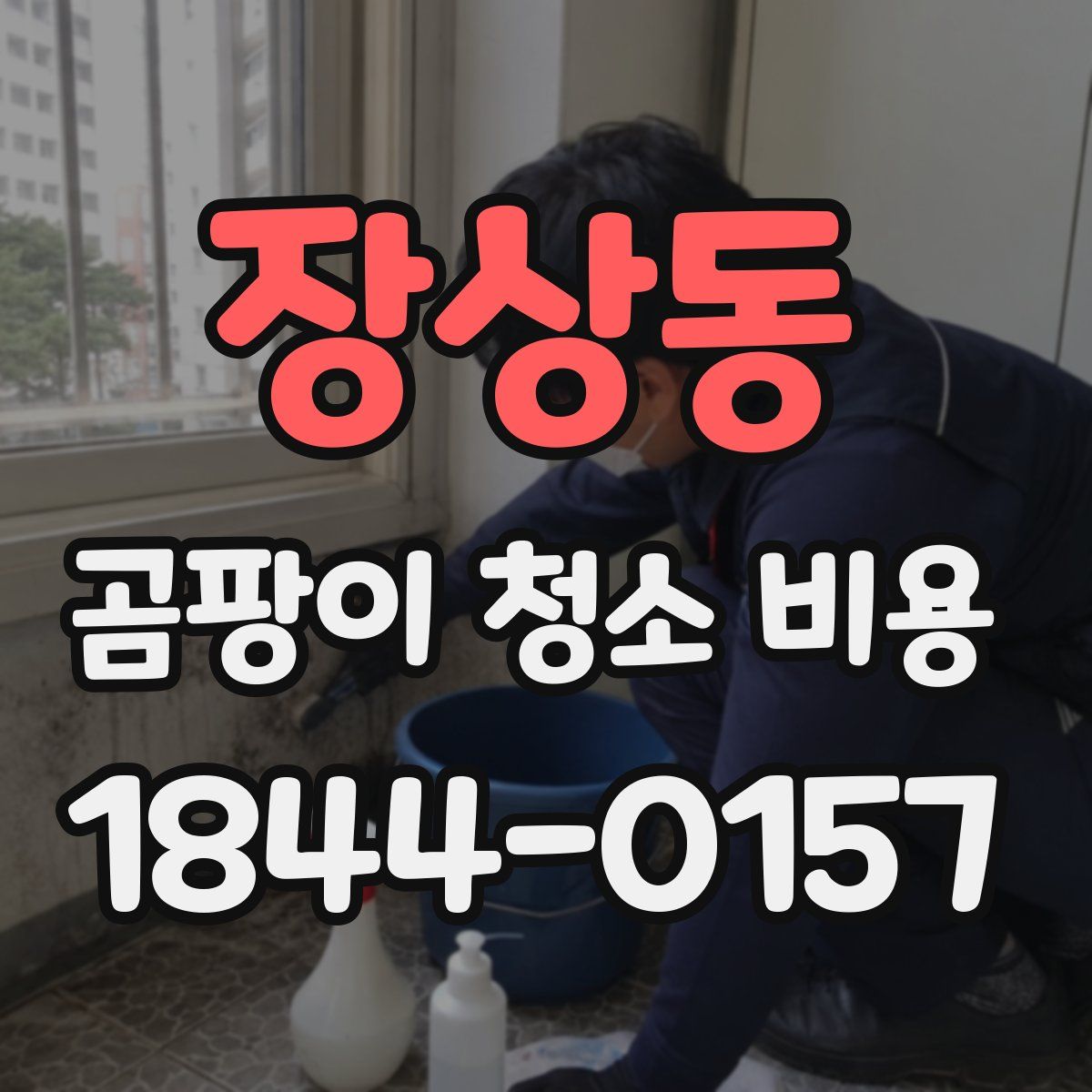 장상동 곰팡이 청소 비용
