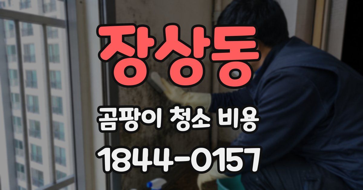 장상동 곰팡이 청소 비용