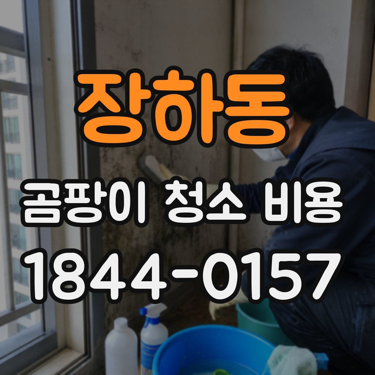장하동 곰팡이 청소 비용