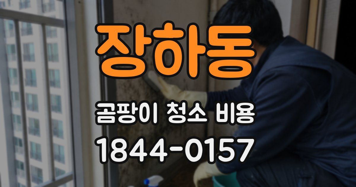 장하동 곰팡이 청소 비용