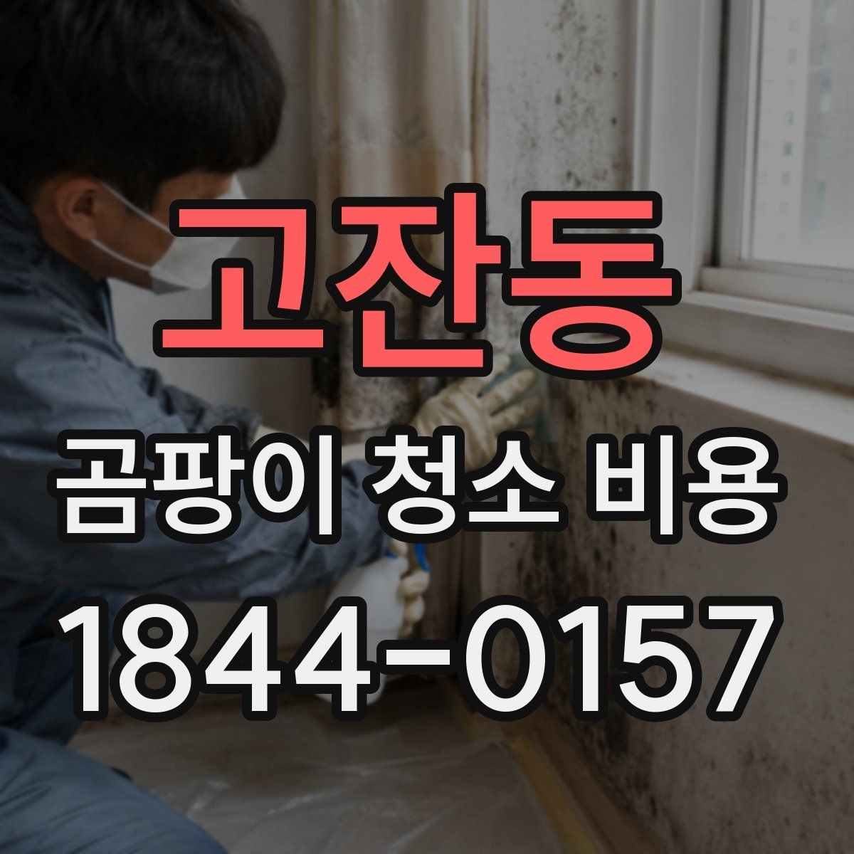 고잔동 곰팡이 청소 비용 원인 진단과 재발 방지까지 보는 경우