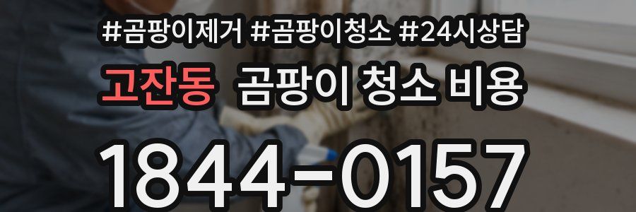 고잔동 곰팡이 청소 비용